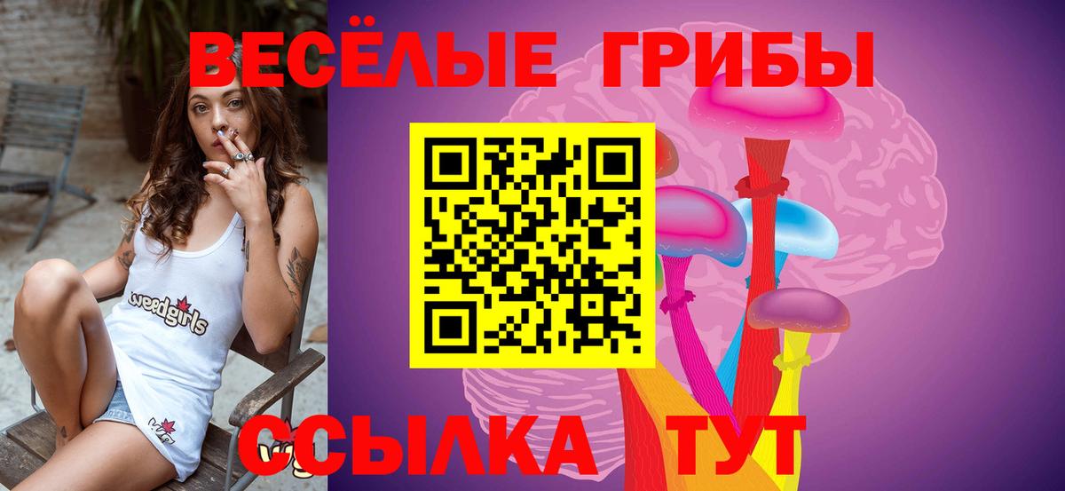 Псилоцибиновые грибы мицелий  Вход с VPN  Аргун 